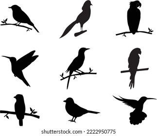 Set von Vögeln einzeln Vektorgrafik Silhouetten