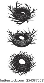 Set of Bird's Nests Collection with Eggs and Birds, Wildlife Vector Illustration