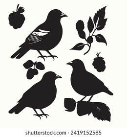 set of birds on a branch