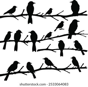Set of Birds on branch silhouette