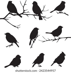 Set of Birds on tree branch black silhouettes