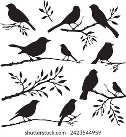 Set of Birds on tree branch black silhouettes
