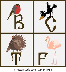Set of birds on white background