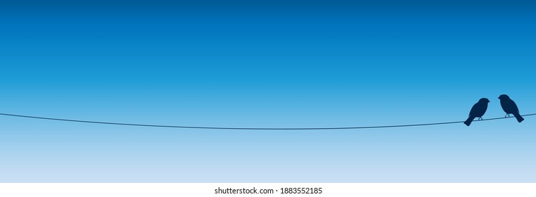 Set of birds on wires over blue sky background. A vector illustration
