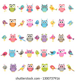 set of birds and owls