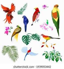 A Set Of Birds Of Paradise And Parrots. Isolated Elements On A White Background