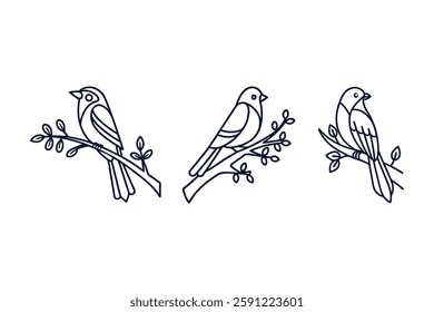 set of birds perched on a branch silhouette vector line art illustration white background