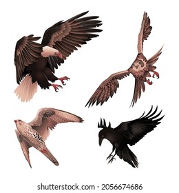 Set Of Birds Of Prey In Flight. Detailed Vector Illustration.
