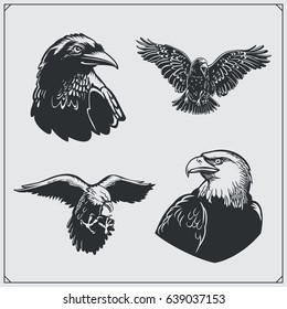 Set of birds. Ravens and eagles.