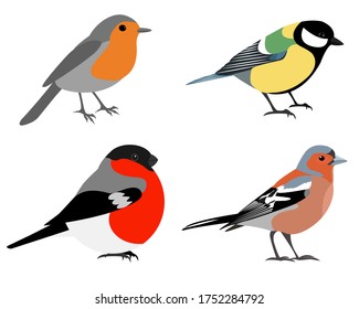 Vogelbestand: Robin, Finch, großartige Titten, Stiervektor einzeln
