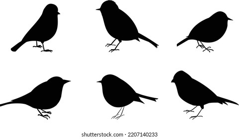 Set of Birds Silhouette, Passerine birds silhoeutte