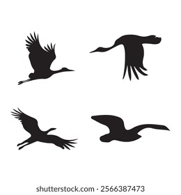 Set of Birds Silhouette Vector