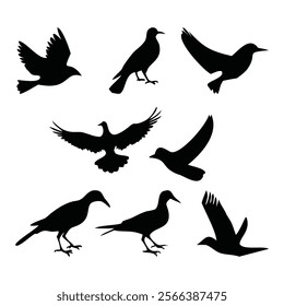 Set of Birds Silhouette Vector