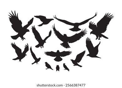 Set of Birds Silhouette Vector