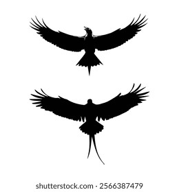 Set of Birds Silhouette Vector