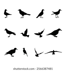 Set of Birds Silhouette Vector