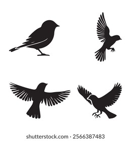 Set of Birds Silhouette Vector