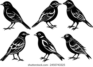 Set of Birds silhouette vector illustration