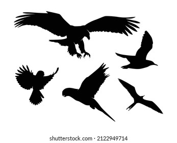 Set of Birds Silhouette Vector Isolated - Animal Silhouette Illustration