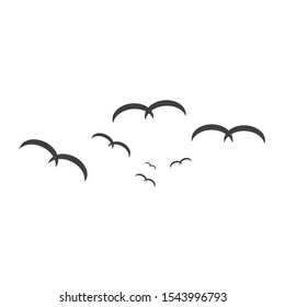 Set of birds silhouettes - flying