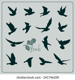 Set of birds silhouettes - flying.