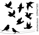 Set of birds silhouettes - flying, sitting.