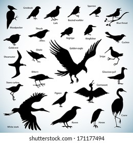 Set of birds silhouettes on abstract background