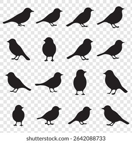 set of birds silhouettes on transparent background. eps 10