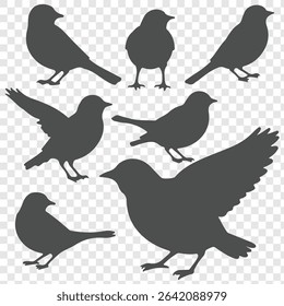 set of birds silhouettes on transparent background. eps 10