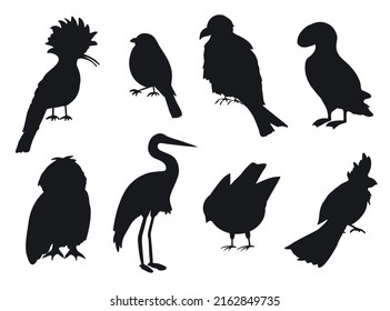 Vogelset Silhouettes Premium-Vektorvorlage