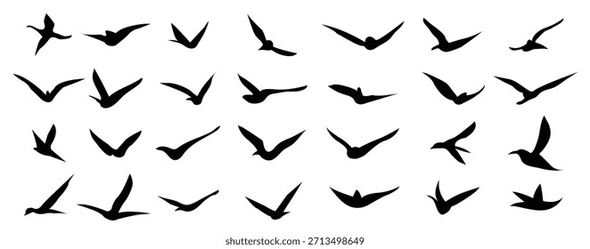 set of birds silhouettes vector illustration