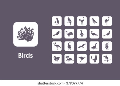 Set of birds simple icons