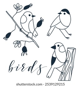 Set of birds in simple linear style. Vector illustration with birds in nature, zoo. Template for postcard