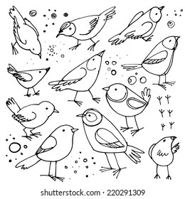 Set of birds, sketch line, vector elements on a white background