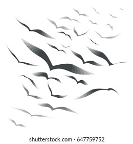 Set birds in the