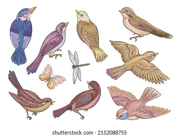 Set of birds: sparrow, finches, butterflies, dragonflies. Clip art, set of elements for design Hand drawing vector illustration.
