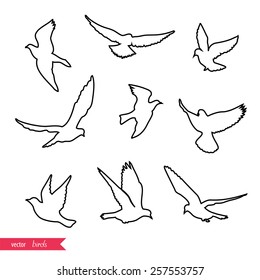 Set of birds stroke silhouettes - flying.