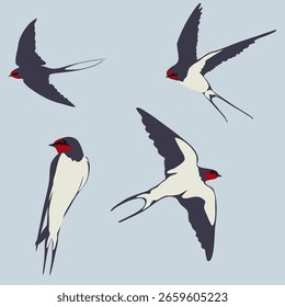 Conjunto de aves, golondrinas, aves de Vector en vuelo, conjunto de golondrinas