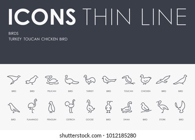 Set of BIRDS Thin Line Vector Icons and Pictograms