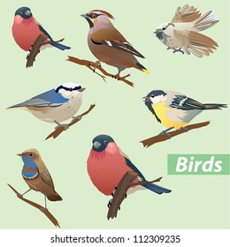 Set of birds - tit, bullfinch, sparrow, crossbill