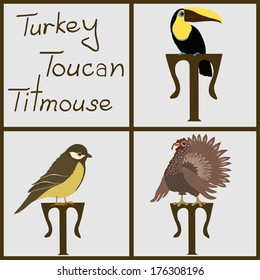 Set of birds: turkey, toucan, titmouse