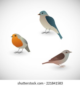 Set of birds in vector