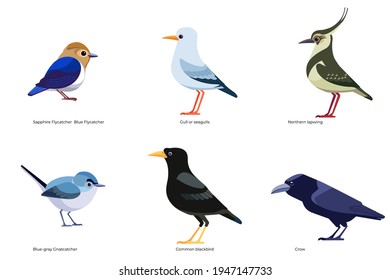 Set of birds vector: Blue Flycatcher, Gull, seagulls, Northern lapwing, Blue-gray Gnatcatcher, Common blackbird, Crow, wildlife birds cartoon, flat style birds Illustration isolated on white.