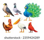 Set of birds vector cartoon illustration. Falcon, pigeon, peacock, hen, pelican and cardinal