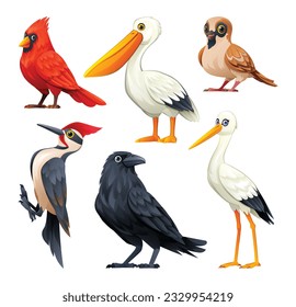 Set of birds vector cartoon illustration