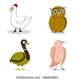 Set of birds vector character duck and chicken, nightingale and owl illustration