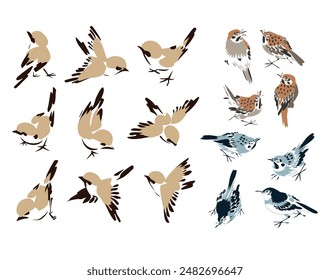 Set of Birds vector  illustration