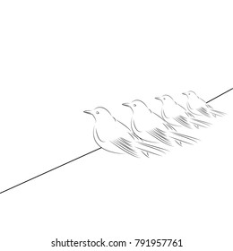 set of birds - vector illustration