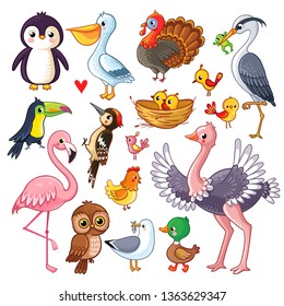 Set with birds. Vector illustration with animals in children's style.
