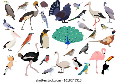 Set of birds. Birds vector illustration bundle.